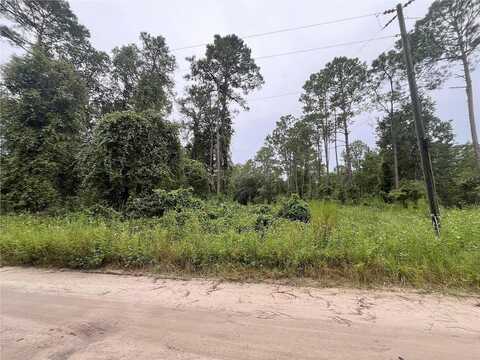 Hickory Nut Trail, SATSUMA, FL 32189