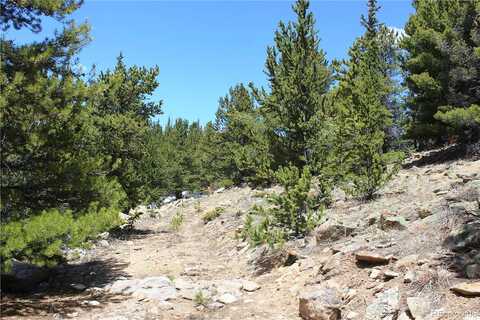 Group 6-5 Lamartine Road, Idaho Springs, CO 80452