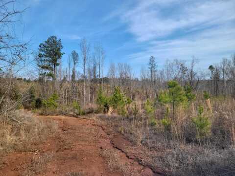 Elberton Hwy, Lincolnton, GA 30817