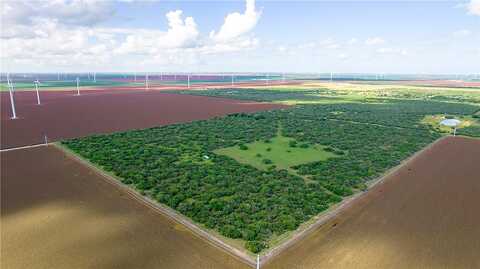 Cr 59 South Of Fm 70, Bishop, TX 78343