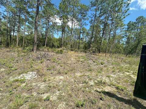 Alvarez Road, Dunnellon, FL 34431