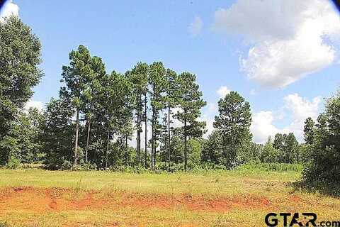 Stone Chimney Rd. (Lot 19 Cr 3608), Bullard, TX 75757