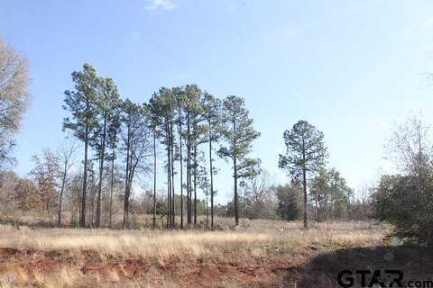 Stone Chimney Rd. (Lot 21 Cr 3608), Bullard, TX 75757