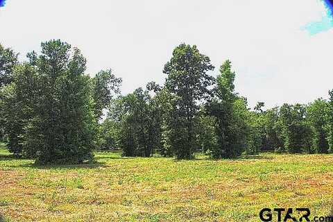 Stone Chimney Rd (Lot 7, Cr 3608), Bullard, TX 75757