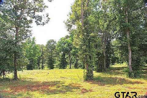 Stone Chimney Rd (Lot 4, Cr 3608), Bullard, TX 75757