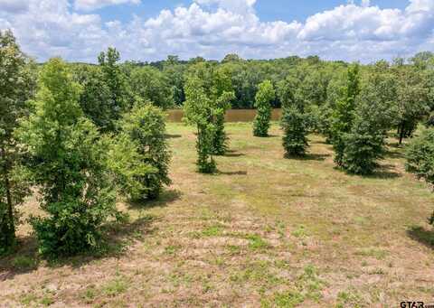 Stone Chimney Rd (Lot 3, Cr 3608), Bullard, TX 75757