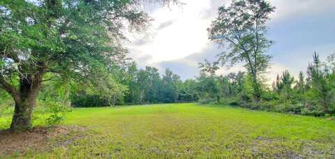 Acres Sw Vacant Mt Gilead Road, Greenville, FL 32331