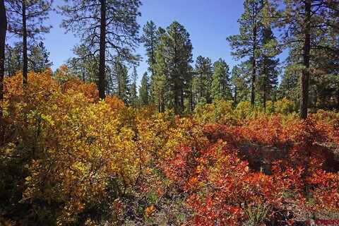 Road T.7, Mancos, CO 81328