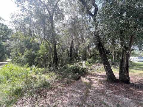 E Boyleston Street, Interlachen, FL 32148