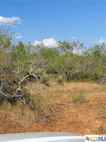 Fm 1107 Unit B (Tract 3), Stockdale, TX 78160