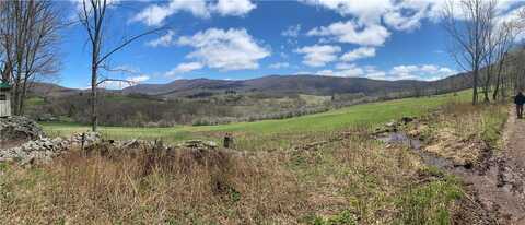 Cape Horn Road, Bovina, NY 13740