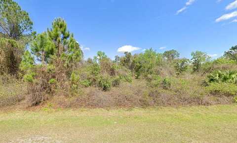 Dogwood Avenue, Georgetown, FL 32139