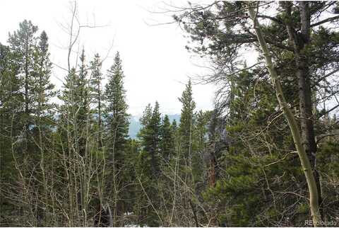 Lamertine Rd, Idaho Springs, CO 80452