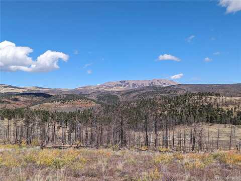 Wagon Mesa Loop, Fort Garland, CO 81133