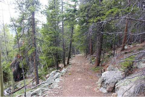 Lamartine Rd, Idaho Springs, CO 80452