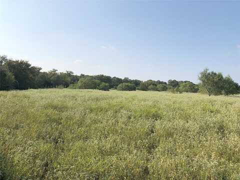 Wild Plum Road, Dale, TX 78644