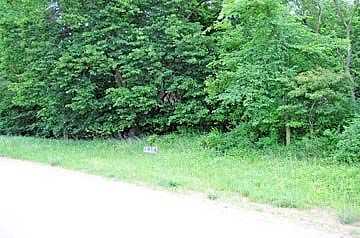 Stagecoach Trail Lot 1, Pigeon, MI 48755