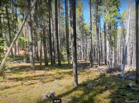 Drexler Place, Fort Garland, CO 81133
