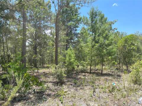 Himalayan Street, Interlachen, FL 32148