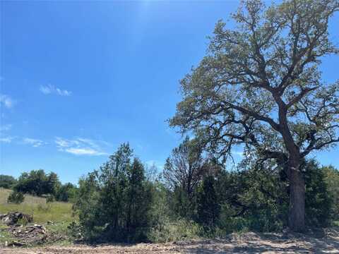 Willow Oaks Drive Highway, Goldthwaite, TX 76844