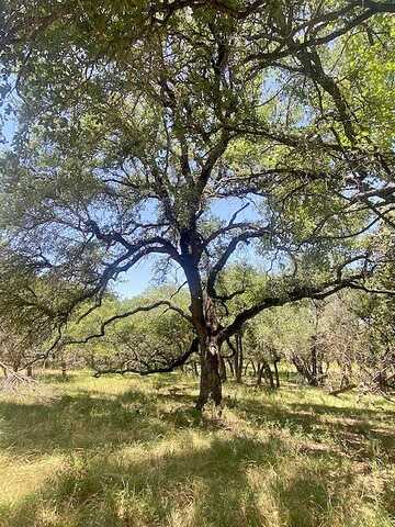 Becky Lane, Bertram, TX 78605