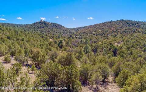 Santiago Circle, Alto, NM 88312