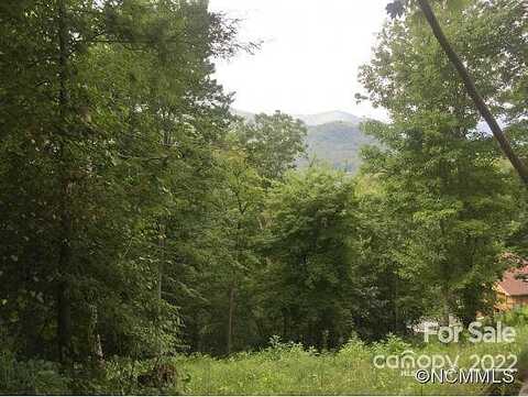 Asa Trail, Waynesville, NC 28785