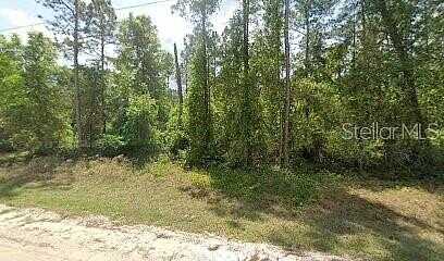 Hideway Lane, Georgetown, FL 32139