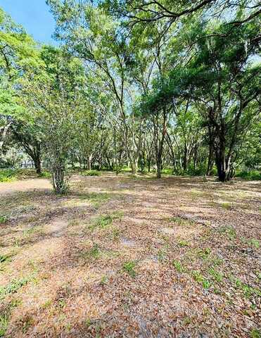 Se 130Th Avenue, WEIRSDALE, FL 32195