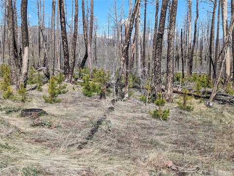 Douglas Lane, Fort Garland, CO 81133