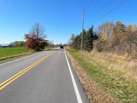 Braley Road N, Porter, NY 14174