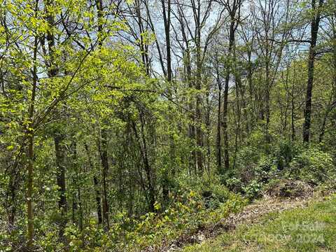 Waxwing Way, Asheville, NC 28804