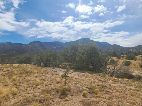 Quail Meadow Rd, Placitas, NM 87043