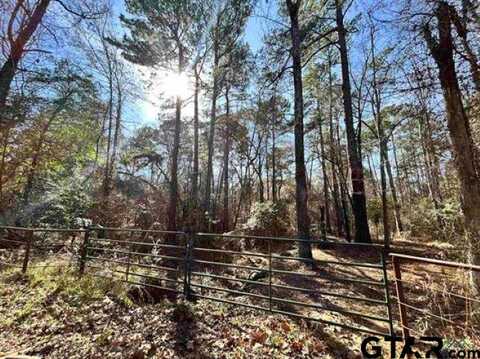 Phillip Springs Rd, Gladewater, TX 75647