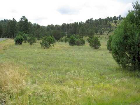 Deer Valley Drive, Alto, NM 88312