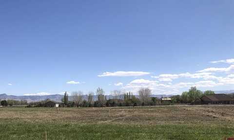 (Lot 8) Lazy V Lane, Fruita, CO 81521