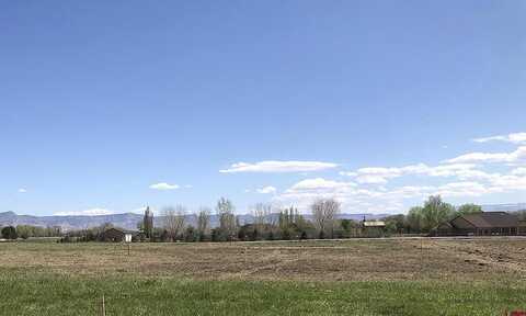 (Lot 7) Lazy V Lane, Fruita, CO 81521