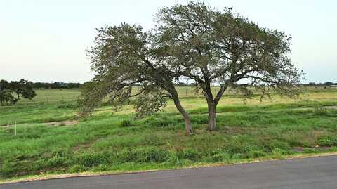 Ferguson, DALE, TX 78616
