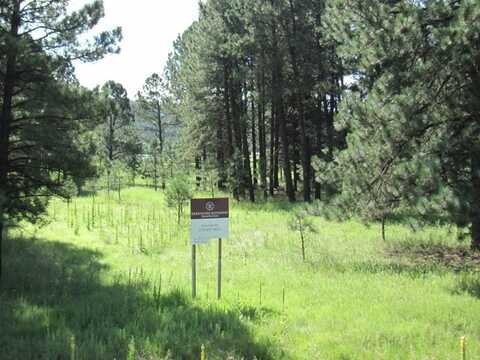 Mechem Drive, Ruidoso, NM 88345