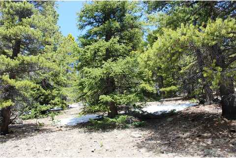 Lamartine Rd, Idaho Springs, CO 80452