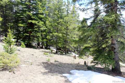 Lamartine Rd, Idaho Springs, CO 80452