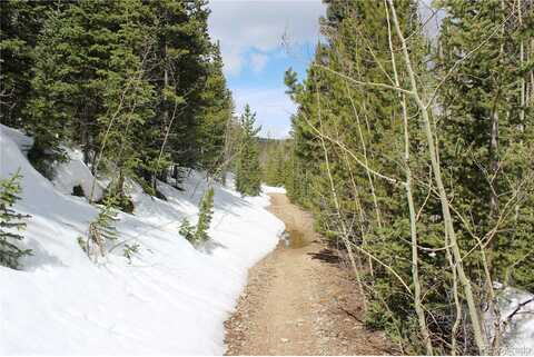 Lamartine Rd, Idaho Springs, CO 80452