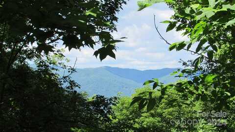 Beech Thicket Springs Road, Bakersville, NC 28705