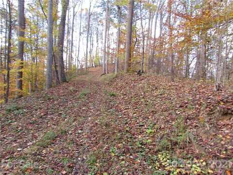 Red Wolf Run None, Mars Hill, NC 28754