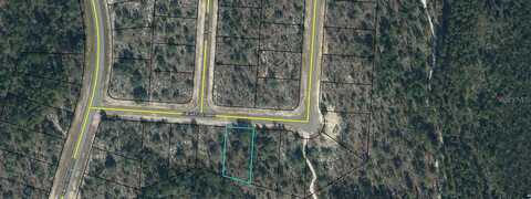 Alexander Drive, CHIPLEY, FL 32428