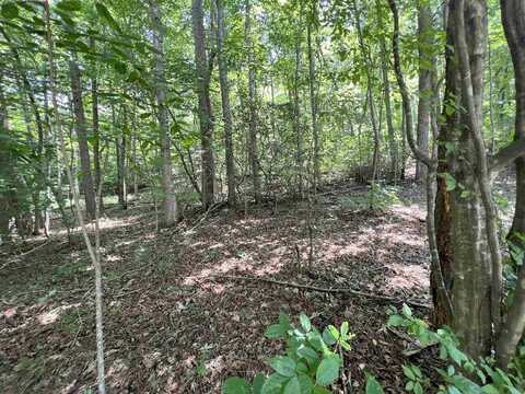 Lot 3 Sautee Ridge Rd, Clarkesville, GA 30523