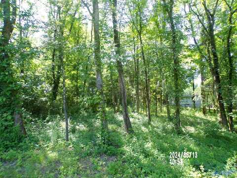 .31 Ac Lot Hackberry Lane, Hokes Bluff, AL 35903