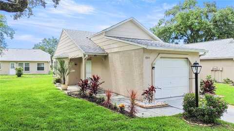 Alamo, NEW PORT RICHEY, FL 34655