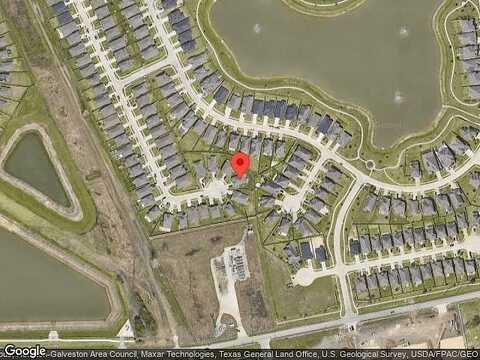 Flycatcher, BAYTOWN, TX 77521