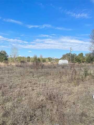 114Th, OCKLAWAHA, FL 32179